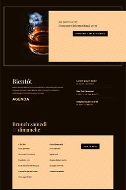 vignette-bar-2-250x375