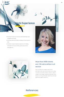 vignette-klear-work-experience-250x375