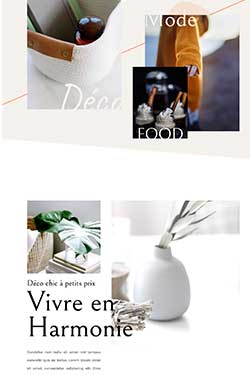 vignette-influenceur-3-250x375